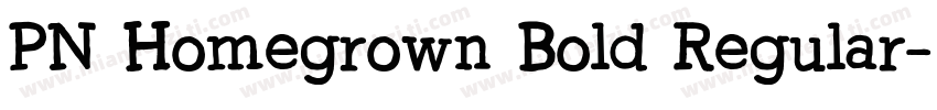 PN Homegrown Bold Regular字体转换